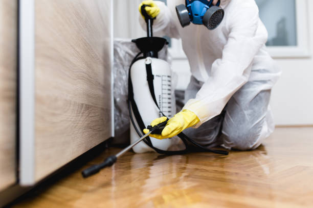 Flea Control Services in Village Shires, PA
