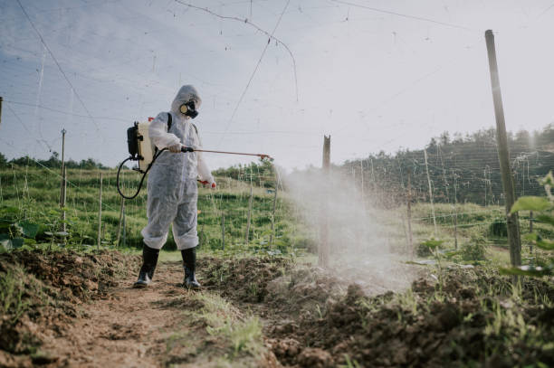 Best Local Pest Control Services  in Village Shires, PA