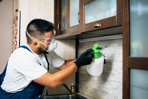Best Wasp Removal Services  in Village Shires, PA