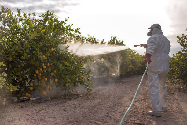 Best Pest Removal Services  in Village Shires, PA