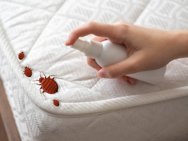 Best Spider Control Near Me  in Village Shires, PA
