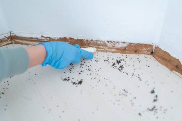  Village Shires, PA Pest Control Pros